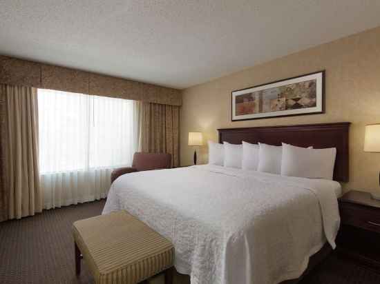 Embassy Suites by Hilton Lubbock Rooms