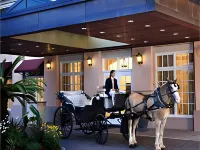 The Lindy Renaissance Charleston Hotel 查爾斯頓住宿飯店