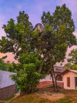 Serendip Villa Holiday Home Talalla Sri Lanka