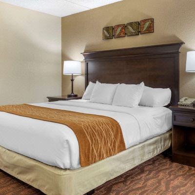 King Room with Accessible Tub - Accessible/Non-Smoking Comfort Inn at Thousand Hills Promo Code