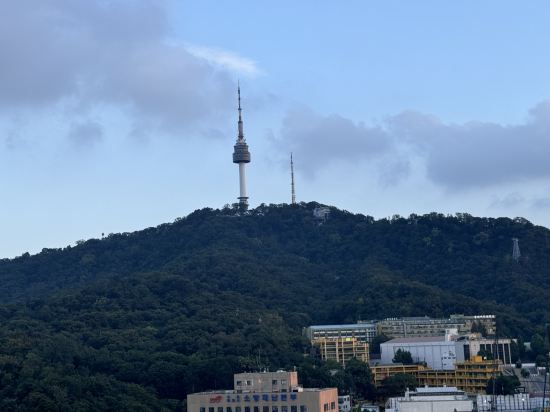 이비스 스타일 앰배서더 서울 명동 쿠폰