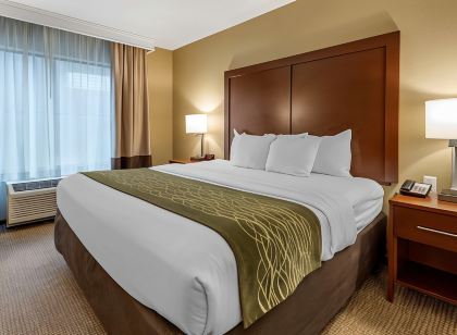 Comfort Inn & Suites Pittsburgh South