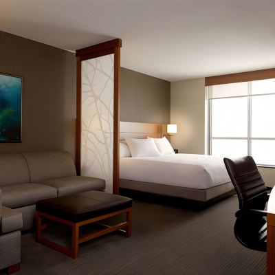 King Room With Tub And Sofa Bed-Accessible Hyatt Place Houston-Northwest / Cy-Fair Promo Code