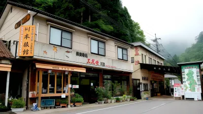 川本旅館 広島県立美術館周辺のホテル