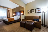 Comfort Suites Rochester Henrietta University Area Hotels in Henrietta