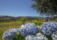 Quinta da Costeira - Casa Azul do Limoal by Alponte Hôtels à : São Paio