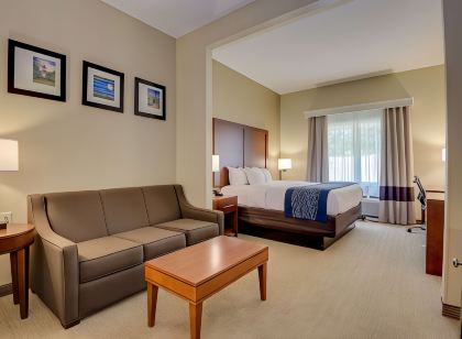 Comfort Inn & Suites Augusta Fort Eisenhower Area