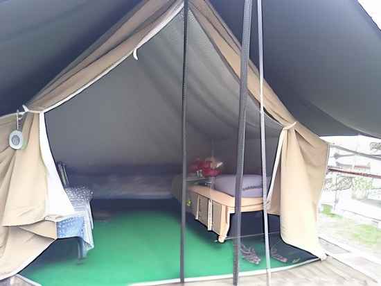 Camp Wildex Rishikesh Rooms