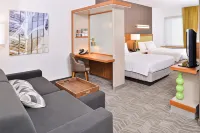 SpringHill Suites Ashburn Dulles North Hotels in der Nähe von Sunglass Hut