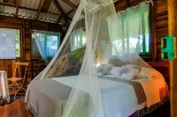 Playa Grande Lodge & Tree House Hotels in Cahuita