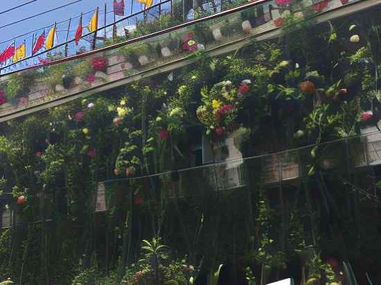 Vertical Garden Hostel Hotel Exterior