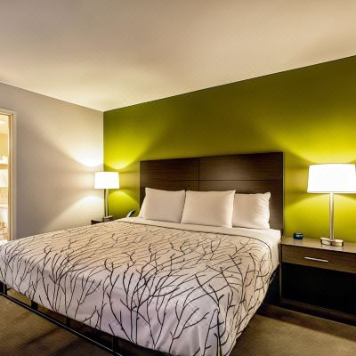 Standard Room, 1 Queen Bed, Accessible, Non Smoking Surestay Plus Hotel by Best Western Seatac Airport Promo Code