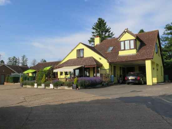 Gosfield Lake Resort Hotel Exterior