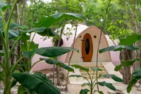 Room in Lodge - Unique Jungle Dome 2 Queen Beds