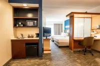 SpringHill Suites San Antonio Alamo Plaza/Convention Center Hotels near Holy Name Catholic Church