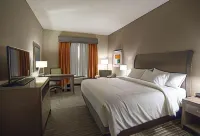 Hilton Garden Inn Bolingbrook Hotels in Bolingbrook