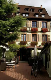 Hostellerie le Marechal Colmar