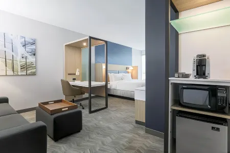 SpringHill Suites San Jose Fremont