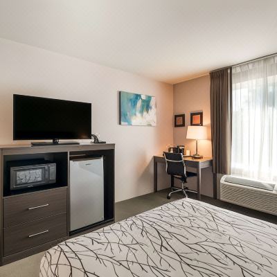 Standard Room, 1 Queen Bed, Accessible, Non Smoking Surestay Plus Hotel by Best Western Seatac Airport Promo Code