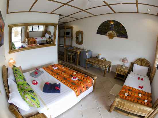 Dolphin House Resort Moalboal Rooms