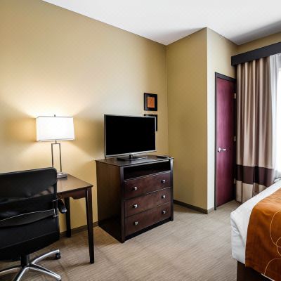 Suite, Multiple Beds, Accessible, Non Smoking Comfort Suites Houston Northwest Cy-Fair Promo Code