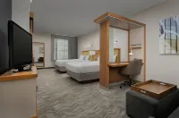 SpringHill Suites Tuscaloosa Hotels near Tuscaloosa Regional Airport