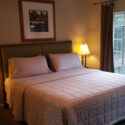 Deluxe King Suite With Sofa Bed And Kitchen-Non-Smoking The Happy Hollow Promo Code