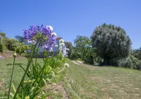 Quinta da Costeira - Casa Azul do Limoal by Alponte Hôtels à : São Paio