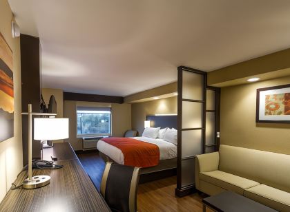 Holiday Inn Express & Suites San Antonio Medical-Six Flags