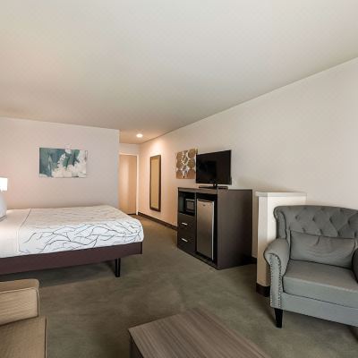 1 King Bed, Non-Smoking, Larger Room, Sofabed, Desk, Lounge Chair, Microwave and Refrigerator Surestay Plus Hotel by Best Western Seatac Airport Promo Code