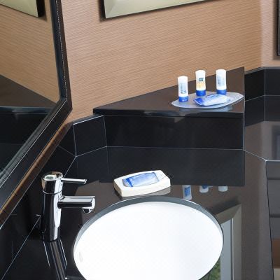 King Room With Tub-Mobility/Hearing Accessible Fairfield Inn Anaheim Hills Orange County Promo Code