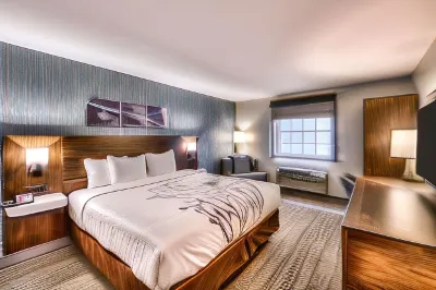 Sleep Inn Oakbrook Terrace - Chicago Hotels in York Township