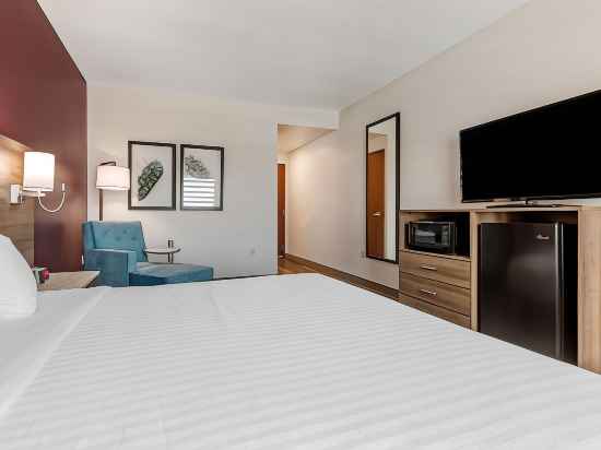 Best Western Plus Casa Grande Inn  Suites Rooms