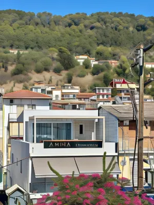 Amina Apartments Hoteles cerca de Port of Zakynthos