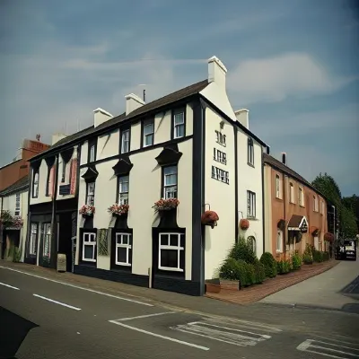 The Lion Hotel Hotels in Horsley