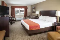 Gray Wolf Inn & Suites Hotels near Museum of the Yellowstone