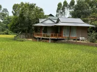 VuLinh Family Homestay Hotels in P.Dong Tam