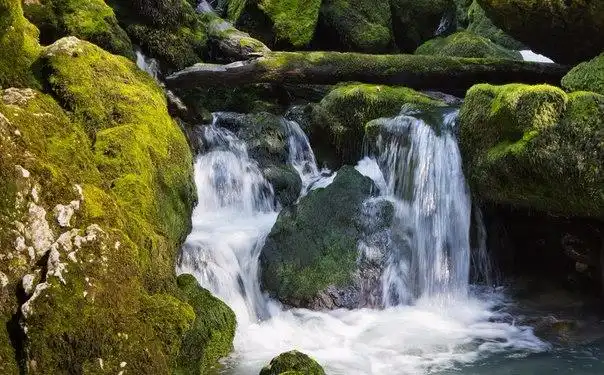 Hôtels à : Tsqaltubo