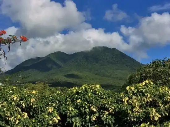 鄰近Nevis Botanical Gardens的酒店