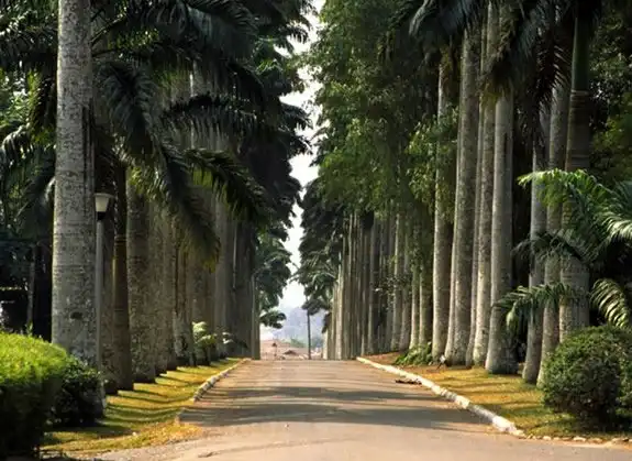 Hotels near Africa Housing Estate / Mountain-Foot Botanical Garden.