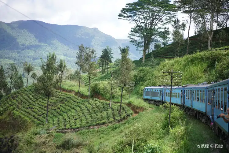 Nuwara Eliya