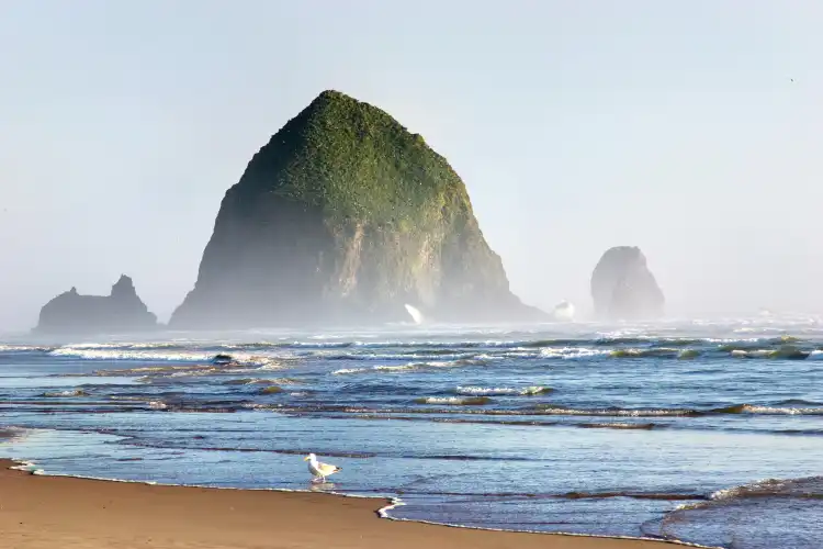 Cannon Beach