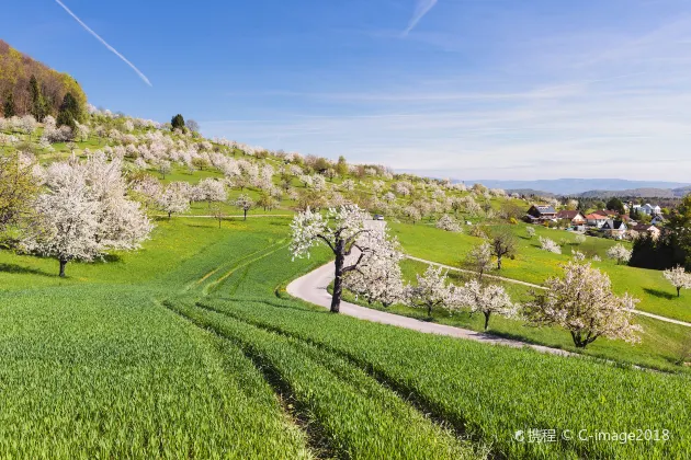 Best Western Plus Hotel Bern