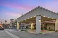 Best Western Plus Executive Inn Hotels near Sneakerholics