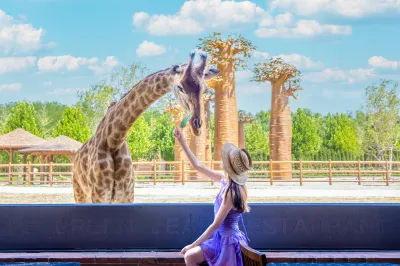 All Love Park Giraffe Manor Hotel Hoteles cerca de Baotu Spring