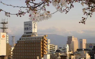 Toyoko Inn Kofu Eki Minami Guchi No 1 Hotels in Kofu