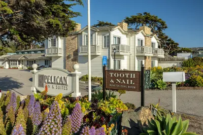 Pelican Inn & Suites Hotels near Ball and Skein and More