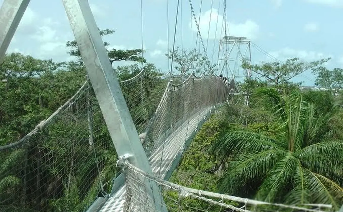 Lekki Conservation Centre, Lagos, near National Museum Lagos, near Oworonshoki