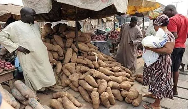 Yam Market, Lagos, near Oworonshoki