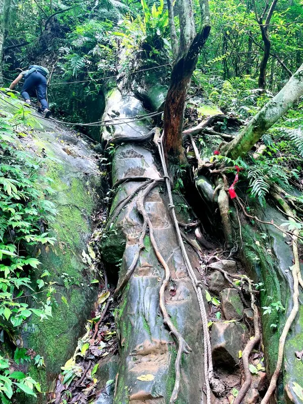 新竹石牛山登山步道需攀繩而上